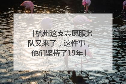 杭州这支志愿服务队又来了，这件事，他们坚持了19年