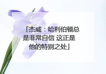 杰威：哈利伯顿总是非常自信 这正是他的特别之处
