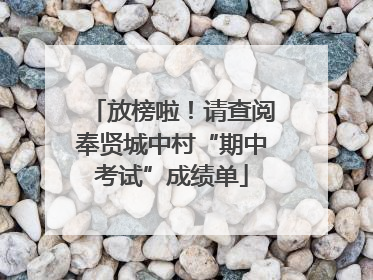 放榜啦！请查阅奉贤城中村“期中考试”成绩单