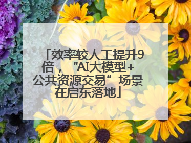 效率较人工提升9倍，“AI大模型+公共资源交易”场景在启东落地