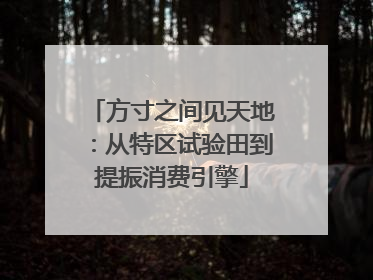 方寸之间见天地：从特区试验田到提振消费引擎
