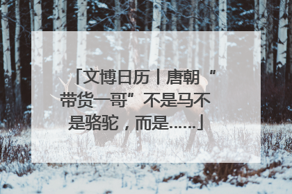 文博日历丨唐朝“带货一哥”不是马不是骆驼，而是……