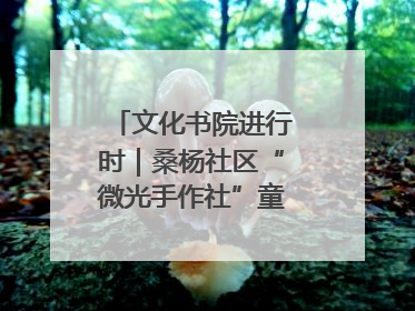 文化书院进行时｜桑杨社区“微光手作社”童心绘夏韵