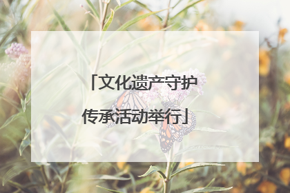 文化遗产守护传承活动举行