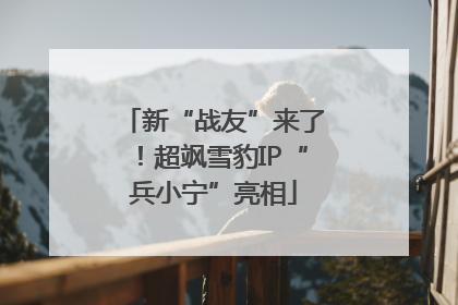 新“战友”来了！超飒雪豹IP“兵小宁”亮相
