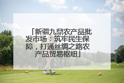 新疆九鼎农产品批发市场：筑牢民生保障，打通丝绸之路农产品贸易枢纽