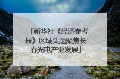 新华社《经济参考报》区域头题聚焦长春光电产业发展