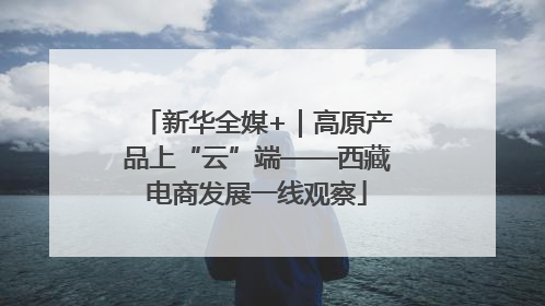 新华全媒+｜高原产品上“云”端——西藏电商发展一线观察