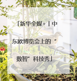 新华全媒+丨中东欧博览会上的“数智”科技秀