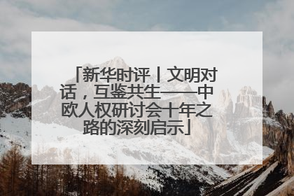新华时评丨文明对话，互鉴共生——中欧人权研讨会十年之路的深刻启示