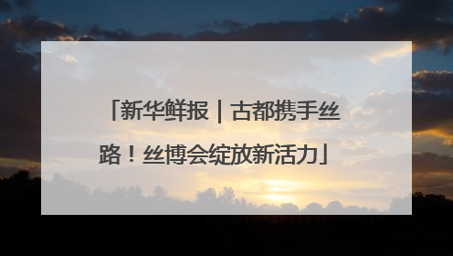 新华鲜报｜古都携手丝路！丝博会绽放新活力