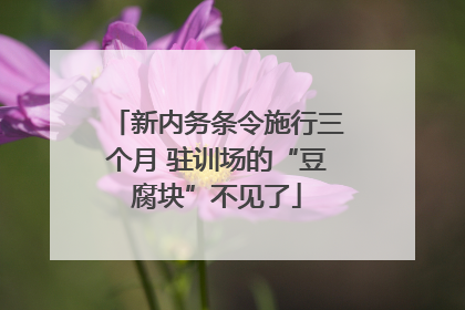新内务条令施行三个月 驻训场的“豆腐块”不见了
