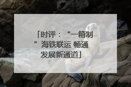 时评：“一箱制”海铁联运 畅通发展新通道