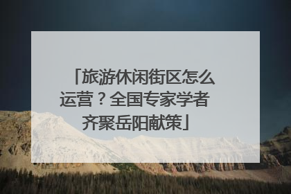 旅游休闲街区怎么运营？全国专家学者齐聚岳阳献策