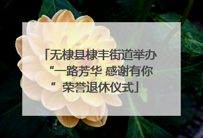 无棣县棣丰街道举办“一路芳华 感谢有你”荣誉退休仪式