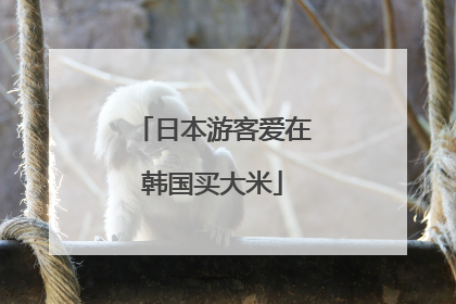 日本游客爱在韩国买大米