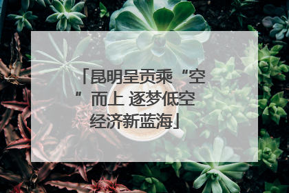 昆明呈贡乘“空”而上 逐梦低空经济新蓝海