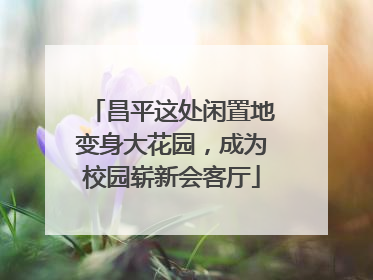 昌平这处闲置地变身大花园，成为校园崭新会客厅