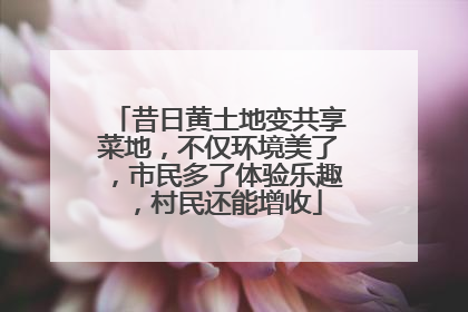昔日黄土地变共享菜地，不仅环境美了，市民多了体验乐趣，村民还能增收