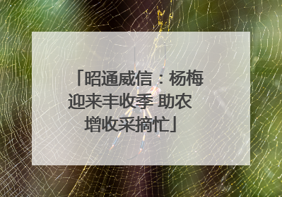 昭通威信：杨梅迎来丰收季 助农增收采摘忙