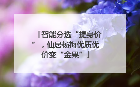 智能分选“提身价”，仙居杨梅优质优价变“金果”