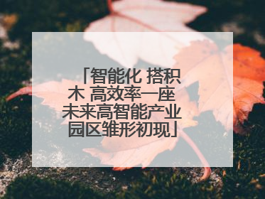 智能化 搭积木 高效率一座未来高智能产业园区雏形初现