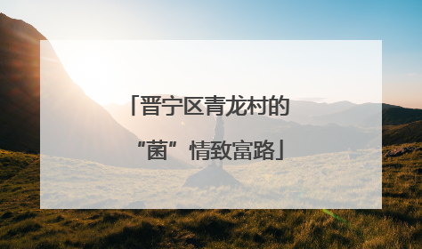 晋宁区青龙村的“菌”情致富路