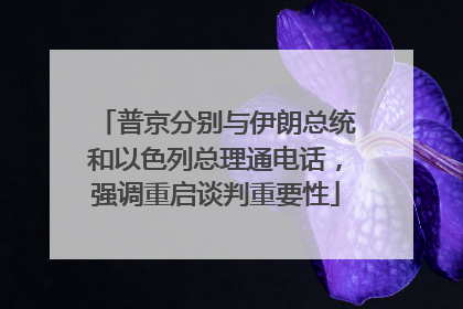 普京分别与伊朗总统和以色列总理通电话，强调重启谈判重要性