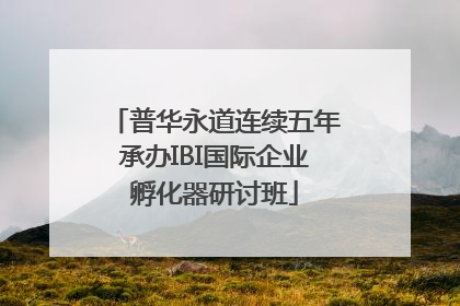 普华永道连续五年承办IBI国际企业孵化器研讨班