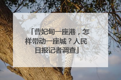 曹妃甸一座港，怎样带动一座城？人民日报记者调查