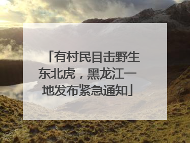 有村民目击野生东北虎，黑龙江一地发布紧急通知