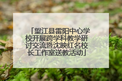 望江县雷阳中心学校开展跨学科教学研讨交流暨沈映红名校长工作室送教活动