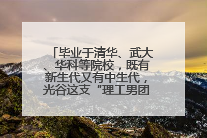 毕业于清华、武大、华科等院校，既有新生代又有中生代，光谷这支“理工男团”为何“出道”？