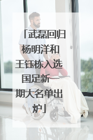 武磊回归 杨明洋和王钰栋入选 国足新一期大名单出炉