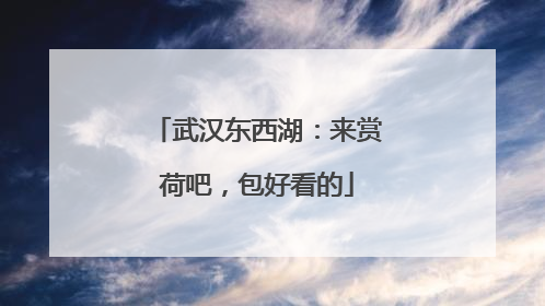 武汉东西湖：来赏荷吧，包好看的