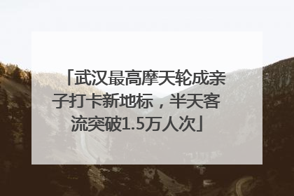 武汉最高摩天轮成亲子打卡新地标，半天客流突破1.5万人次