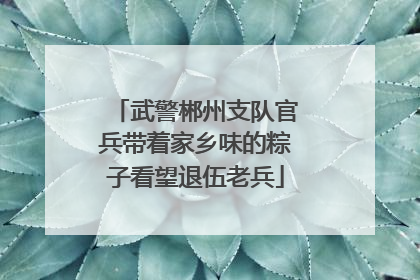 武警郴州支队官兵带着家乡味的粽子看望退伍老兵
