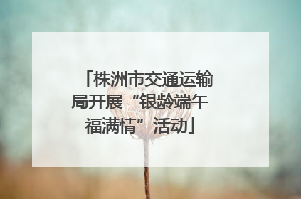 株洲市交通运输局开展“银龄端午福满情”活动