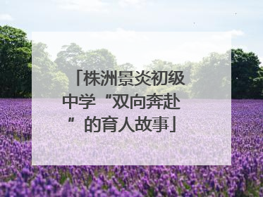 株洲景炎初级中学“双向奔赴”的育人故事
