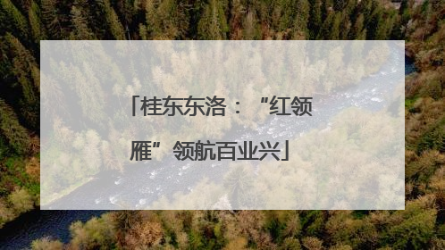 桂东东洛：“红领雁”领航百业兴