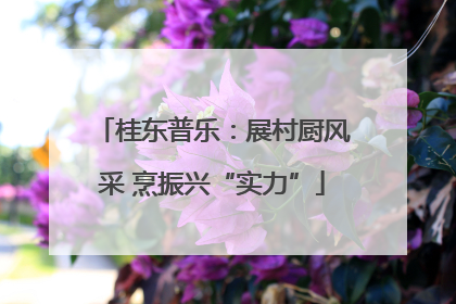 桂东普乐：展村厨风采 烹振兴“实力”