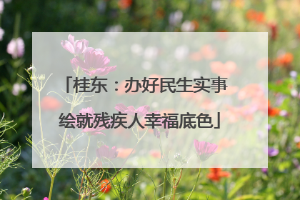 桂东：办好民生实事 绘就残疾人幸福底色