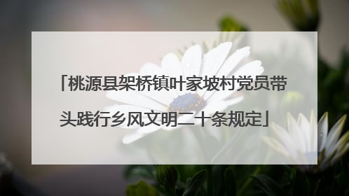 桃源县架桥镇叶家坡村党员带头践行乡风文明二十条规定