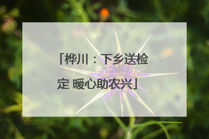 桦川：下乡送检定 暖心助农兴