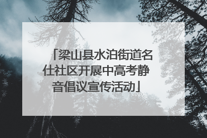 梁山县水泊街道名仕社区开展中高考静音倡议宣传活动