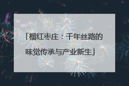 榴红枣庄：千年丝路的味觉传承与产业新生