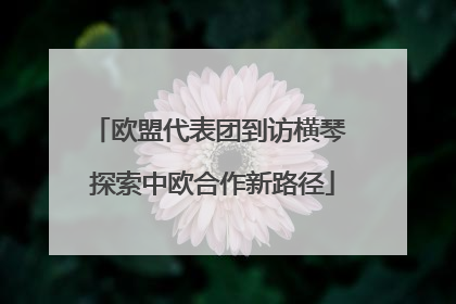欧盟代表团到访横琴 探索中欧合作新路径