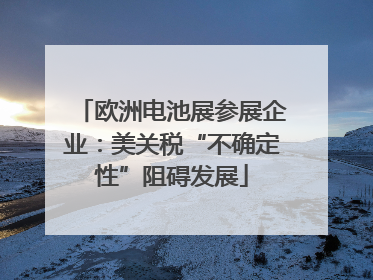 欧洲电池展参展企业：美关税“不确定性”阻碍发展