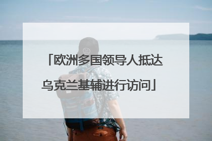 欧洲多国领导人抵达乌克兰基辅进行访问