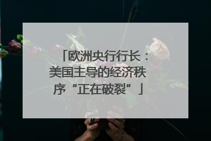 欧洲央行行长：美国主导的经济秩序“正在破裂”